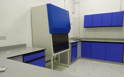 New Project - 2024-03-17T174350