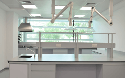 New Project - 2024-03-17T180412